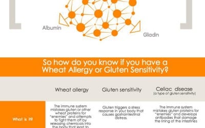 Wheat Allergy vs. Gluten Sensitivity Infographic