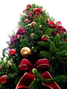 christmas-tree-could-make-you-sick