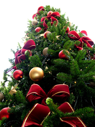 christmas-tree-could-make-you-sick