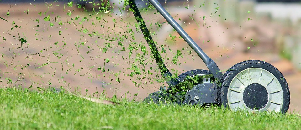 Grass Allergies source of misery Grass Allergies source of misery