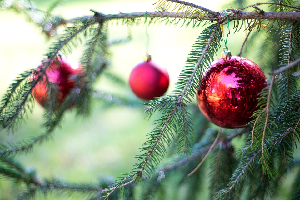 Christmas Tree Allergy Christmas Tree Allergy