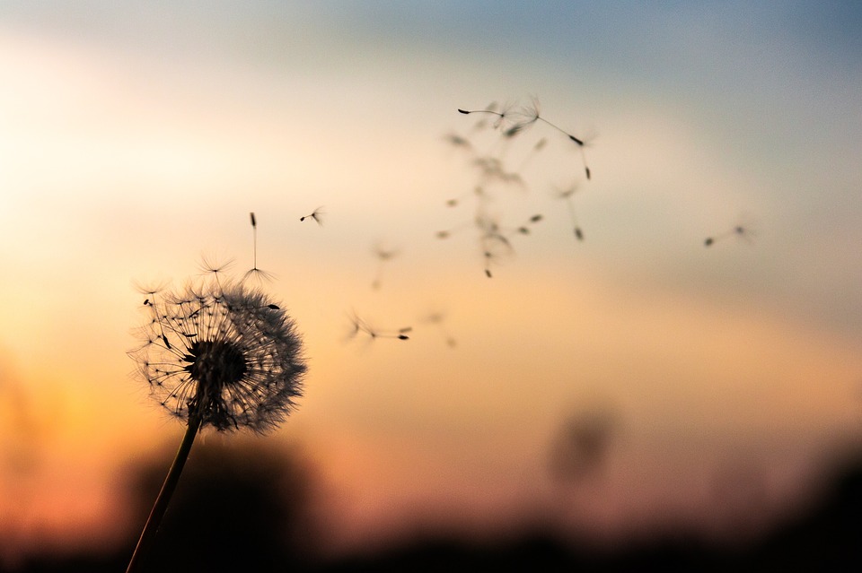 Allergies Becoming More Common Allergies Becoming More Common