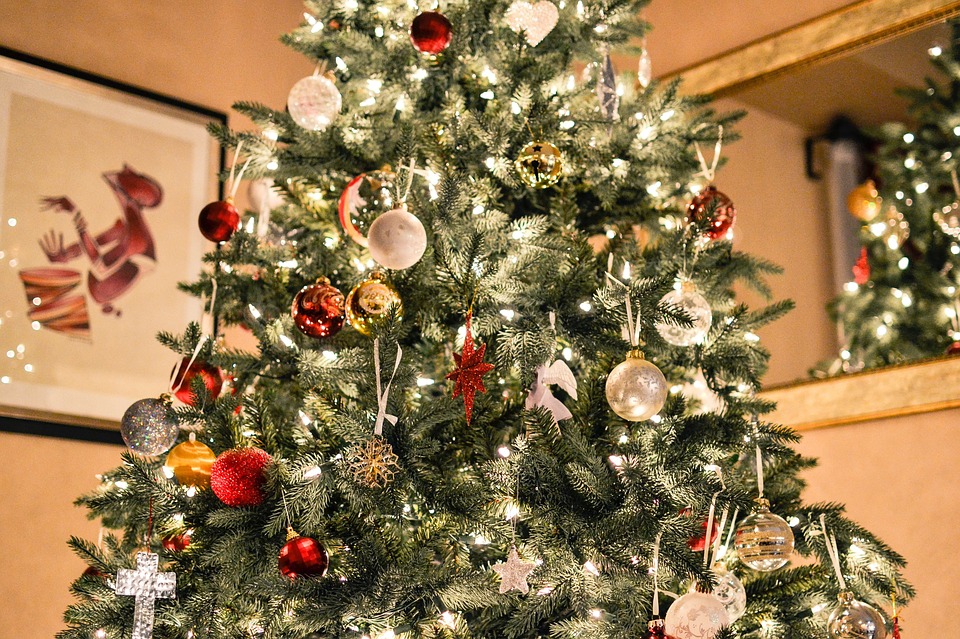 Christmas Tree Stirring up Your Allergies Christmas Tree Stirring up Your Allergies